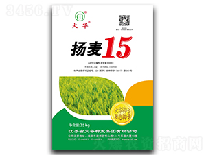 �P��15-С���N��-���A�N�I(y��)