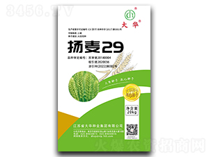 �P(y��ng)��29-С���N��-���A�N�I(y��)