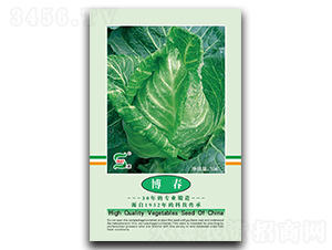 �������{(l��n)-���{(l��n)�N��-���A�N�I(y��)