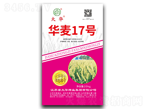 �A��17̖-С���N��-���A�N�I(y��)