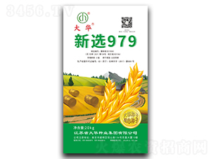 ���x979-С���N��-���A�N�I(y��)