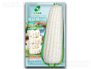 ����Ŵ6̖-���׷N��-���S�N�I(y��)