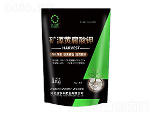 �VԴ�S�����-��Ƭ�G-���r(n��ng)�S�ʘI(y��)