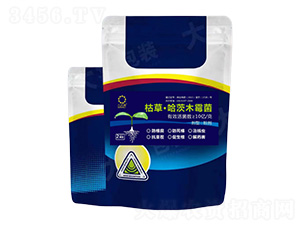 �ݲݡ�����ľù��-��Ƭ�G-���r(n��ng)�S�ʘI(y��)