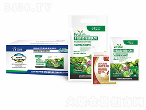 �~�˶�S���L��-嫰�����