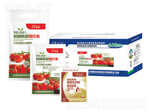 Ě���������t��-嫰�����