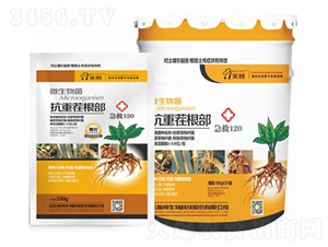 ���ز����-嫰�����