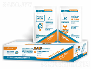 ������ֲ��I(y��ng)�B(y��ng)�ײ�-嫰�����