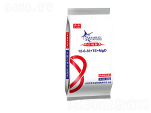 �~������ø����Ԫ��ˮ�ܷ�12-6-38+TE+MgO-�f(w��n)���~-�R�S�r(n��ng)�I(y��)