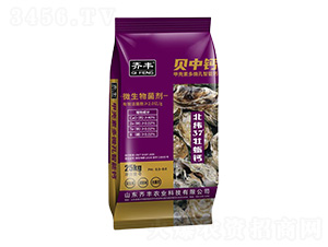 �ך��ض�΢�������}΢�������-ؐ���}-�R�S�r�I(y��)