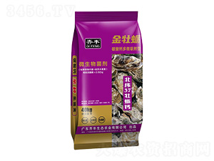 40kg̼���}��΢������΢�������-��ĵϠ-�R�S�r�I(y��)