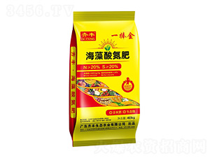 �����ᵪ��-һ����-�R�S�r(n��ng)�I(y��)