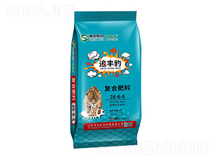 �������ڏ�(f��)�Ϸ���28-6-6-׷�S��-�R�S�r(n��ng)�I(y��)