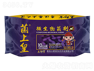 ���ϻ�΢�������-���ɹ�