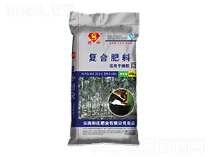 ���z���Ï�(f��)�Ϸ���23-0-6-����-���f�ʘI(y��)