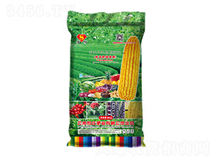 �ЙC�o�C��(f��)�����11-5-0-����-���f�ʘI(y��)