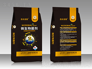 2�|΢�������-���r����-���r����