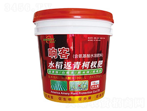 ˮ�������辷�-푿�-������