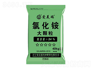 ���w���Ȼ��@-������