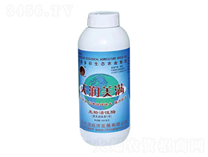 �������ø-�읙(r��n)���M-�V�|�읙(r��n)