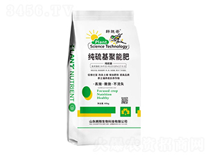 ��������ܷ�-܎�Ը�-�v������