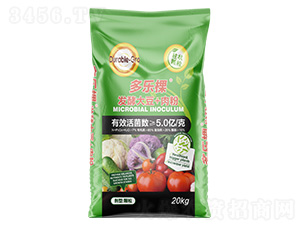 �l(f��)�ʹ�+���-������