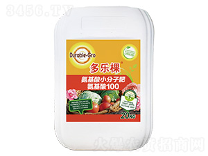 ������С���ӷ�-������