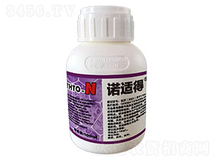 �������Ƅ�-�Z�m��-������