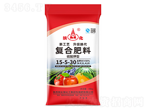 ������͏�(f��)�Ϸ���15-5-30-ꃻ�