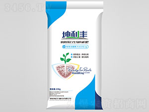 10�|���쵰�������ЙC(j��)��-�����S-��������