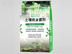 �漚(x��)΢�����ޏ�(f��)����-��������