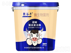 10�|�������׏�(f��)��ø΢�������-�۹�ţ