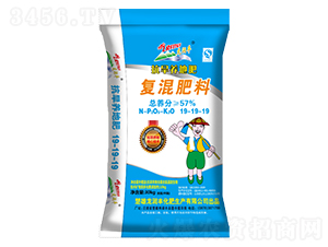 �����B(y��ng)�؏ͻ����19-19-19-�����S