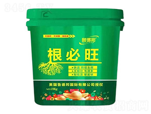 �������_ʩ��-��?sh��)°? style=