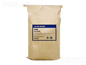 Ӣ���M�ھ�Ʒ����21-53-0--���°�