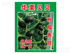 �ϹϷN��-�A��ؐؐ-���S�r�I(y��)