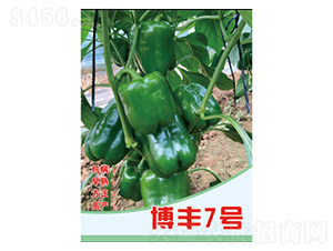 �����N��-���S7̖(h��o)-���S�r(n��ng)�I(y��)