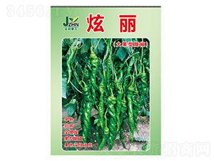 �����N��-����-���S�r(n��ng)�I(y��)