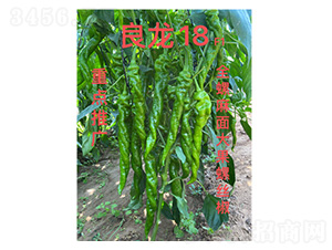 �����N��-����18-���S�r(n��ng)�I(y��)