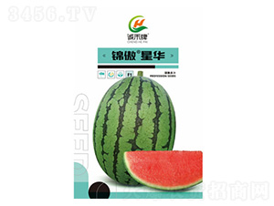 ���ϷN��-�\�����A-���S�r(n��ng)�I(y��)