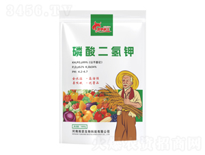 ��������-�ĵ����S-���r����