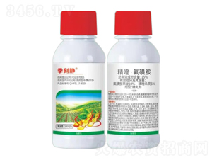 15%��ୡ����ǰ�-�����o-�Z�����r(n��ng)�I(y��)