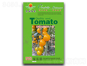 ����С����F1-16-���ѷN��-���J�tϲ