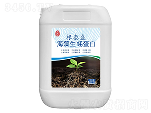 ��̩ʢ������ϖ����-�r(n��ng)���_