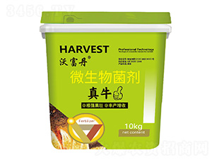 ΢�������-��ţ-�ָ���-��˼���r(n��ng)�I(y��)