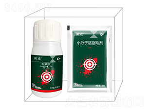 ���E�M�ϣ��ϣ�-����¡����