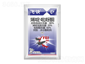 80%ϩड�����ͪ-�w�E-����¡����