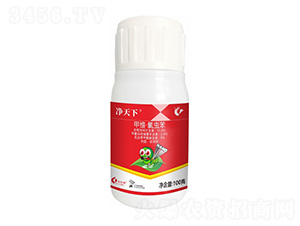 11.6%�׾S�����x��-������-����¡����