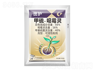 56%���򡤇fù�`-���o(h��)-����¡����