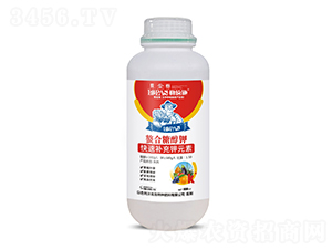 �����Ǵ��-�հ�ʩ-����ʩ